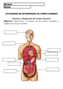 Ciências - 4° Ano (1)